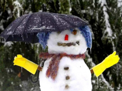 Потепление снова принесет морозовчанам дождь и мокрый снег