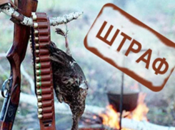 Штрафы на сумму более 1,5 миллионов рублей заплатят дончане за нарушение правил природоохраны