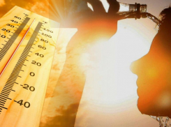 Как пережить температурные рекорды: рекомендации дали сотрудники МЧС