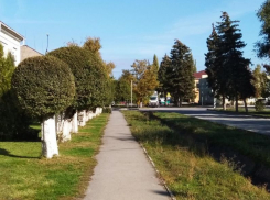 Пятница в Морозовске обещает стать самым теплым днем недели