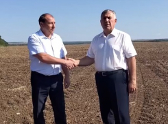 Рекордный урожай ранних зерновых и зернобобовых культур получил Морозовский район