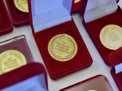 Золотую медаль получили 22 выпускника в Морозовском районе