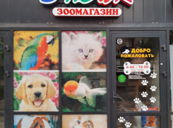 Зоомагазин «Ёжик» открылся в центре Морозовска