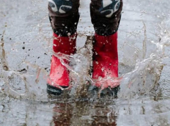 Потепление до +6 градусов и дождь прогнозируют морозовчанам на среду