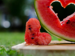 Солнечно и довольно жарко будет в Морозовске в конце недели