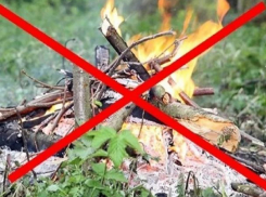 Морозовчан попросили принять дополнительные меры для осуществления пожарной безопасности