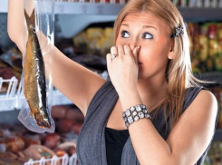 Около 1500 килограммов рыбы и морепродуктов забраковали на Дону