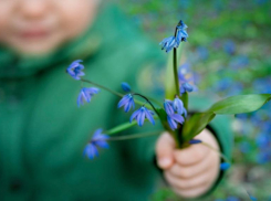 До 14 градусов тепла обещают морозовчанам в четверг