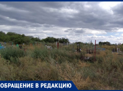 До ворот кладбища в поселке Табунный людям приходится добираться по траве в человеческий рост