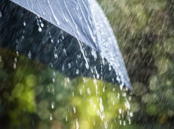 Дождь и всего +16 градусов тепла обещают морозовчанам в среду, 19 мая