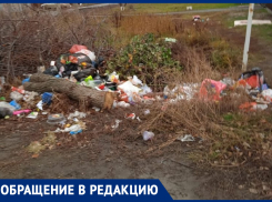 Позор для города! - морозовчанка о мусорных свалках на улице Дзержинского