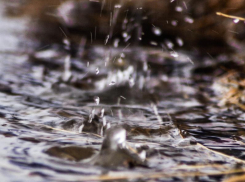 Тепло и влажно будет в Морозовске во вторник, 5 марта