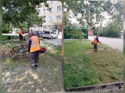 В Морозовске проводятся работы по благоустройству 
