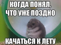 Летом тоже нужно заниматься собой: тренажерные залы ждут вас