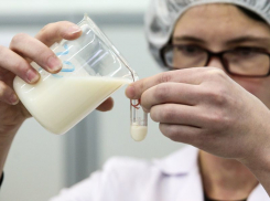 Осторожно, фальсификат: на Дону выявили подделку под молочную продукцию «из Морозовска»