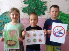 Письмо в редакцию: Воспитанники детского сада №3 Морозовска стали осторожнее вести себя на природе