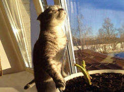 Последний день рабочей недели в Морозовске будет особенно теплым