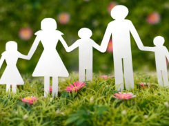 Десять многодетных семей в Морозовском районе получили земельные участки в 2023 году