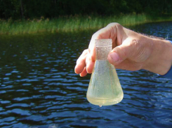 Возбудителей патогенных кишечных инфекций в водоемах Ростовской области не обнаружено 