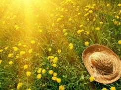 Довольно жаркий и солнечный день ожидается в Морозовске и в субботу