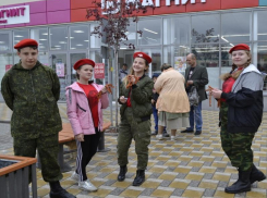 Волонтеры и юнармейцы Морозовского района присоединились к акции «Георгиевская ленточка»