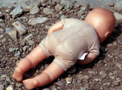 Частично скелетированный труп младенца нашли возле «Светофора» в Морозовске