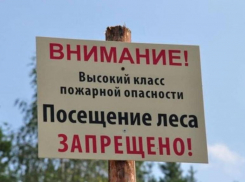 Режим ограничения пребывания граждан в лесах продлен на Дону до 13 августа