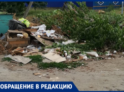 Морозовчане упорно продолжают сваливать ветки и другие крупногабаритные отходы около мусорных баков