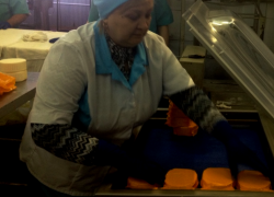 В Морозовске запустили производство творога