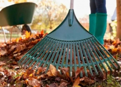 Морозовчан пригласили на общегородской субботник 24 сентября