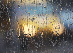 Дождь и до 3 градусов тепла обещают морозовчанам в субботу, 12 февраля