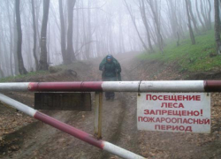 Морозовчанам запретили посещать лес, сжигать траву и разводить открытый огонь
