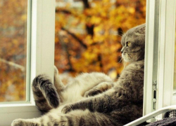 Облачный и теплый день обещают морозовчанам 23 октября