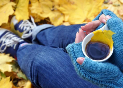 Пасмурную и холодную погоду обещают морозовчанам в четверг