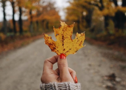 Всего +6 градусов тепла обещают морозовчанам в среду, 2 ноября