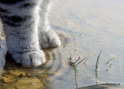 Конец рабочей недели в Морозовске окажется дождливым