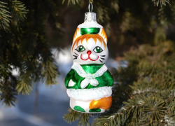 Советы по выбору новогодней ёлки дали в региональном Управлении Роспотребнадзора