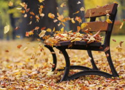 Пасмурно, но сухо будет в Морозовске в пятницу, 19 ноября