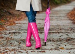 Сыро и холодно будет в Морозовске в субботу, 25 сентября