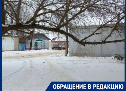 «До беды один порыв ветра»: после обращения в редакцию морозовчане снова бьют тревогу