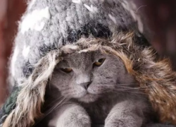 Погода на 21 декабря: в субботу в Морозовском районе ожидается похолодание