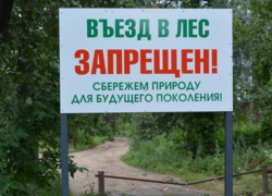 Введен режим ограничения пребывания граждан в лесах возле Морозовска