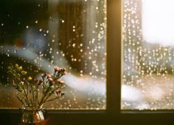  Похолодание до +16 и сильные дожди обещают морозочанам в субботу