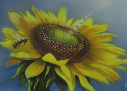 Художники Морозовского района посвятили свою выставку наступающей весне