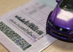 Беженцы смогут обменять водительские удостоверения без оплаты госпошлины