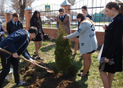 Письмо в редакцию: 1600 килограмм бумаги лицеисты обменяли на четыре туи в Морозовске