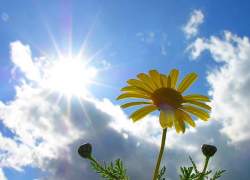 Немного облачным, но теплым будет первый июльский день в Морозовске