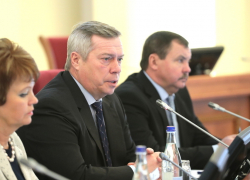 Мы не можем прекратить выплату регионального материнского капитала, - губернатор Ростовской области