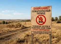 Костёр на участке может обойтись дорого: жителям Морозовска напомнили о жёстких запретах