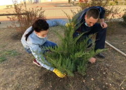 Достойный пример бережного отношения к природе показали сотрудники РДК на городском субботнике в Морозовске